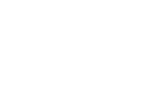 Animotion Film Festival